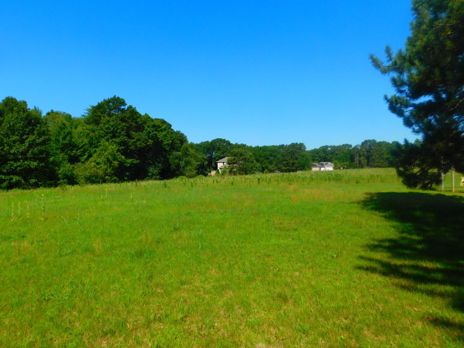 main property photo 39