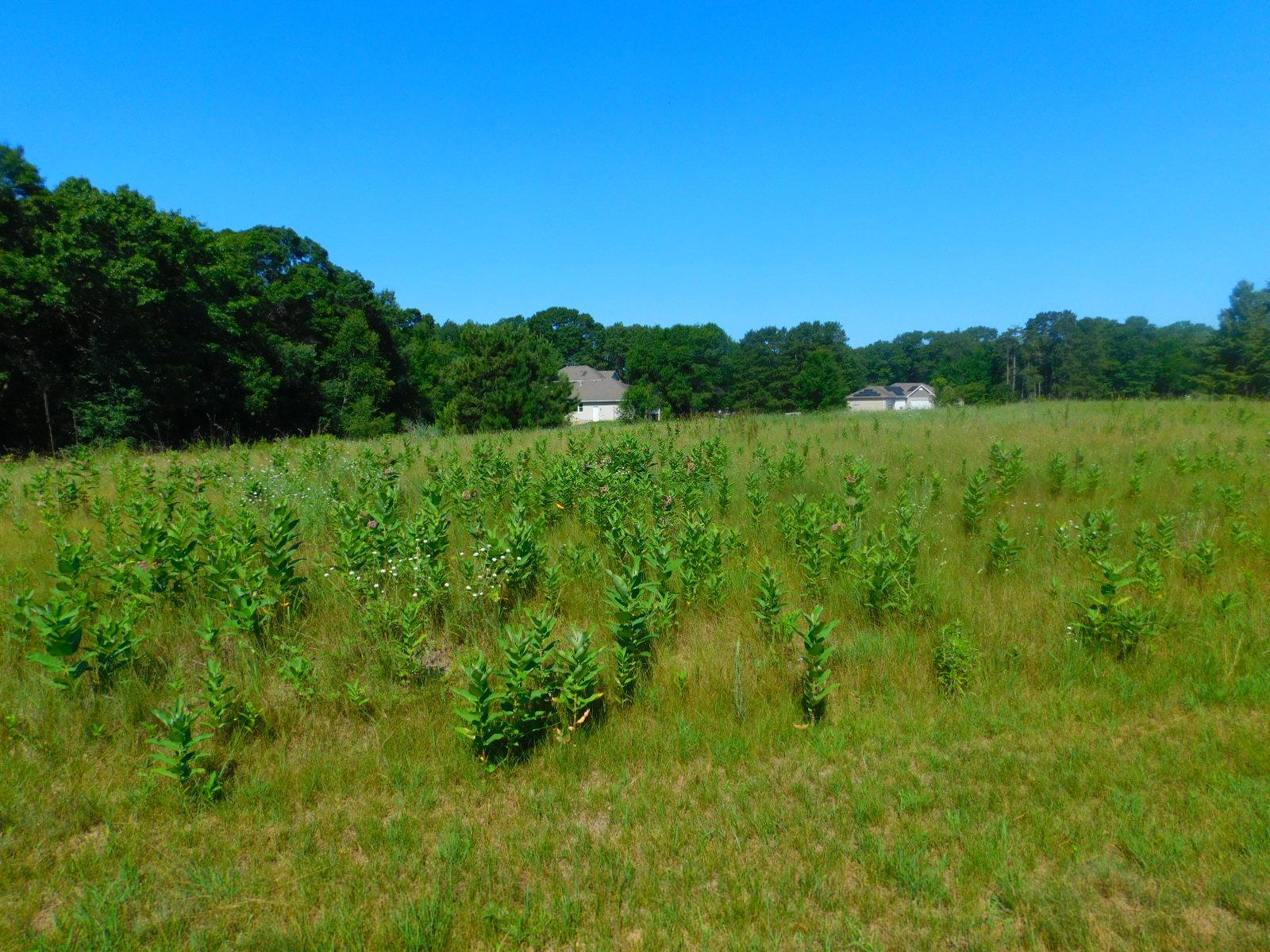 main property photo 40