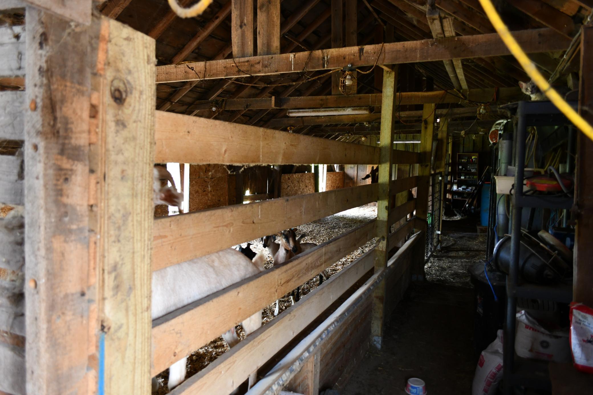 main property photo 25