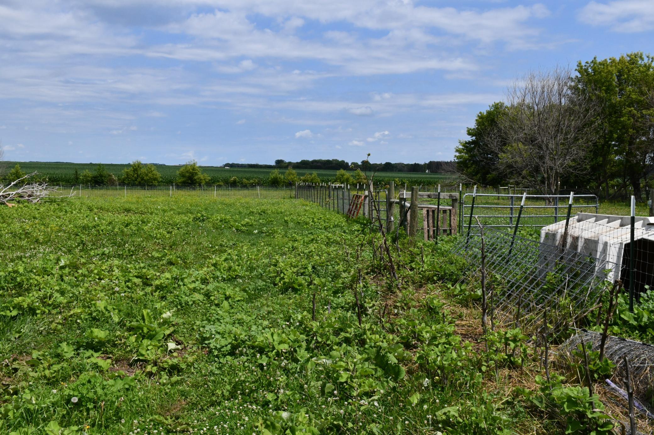 main property photo 28