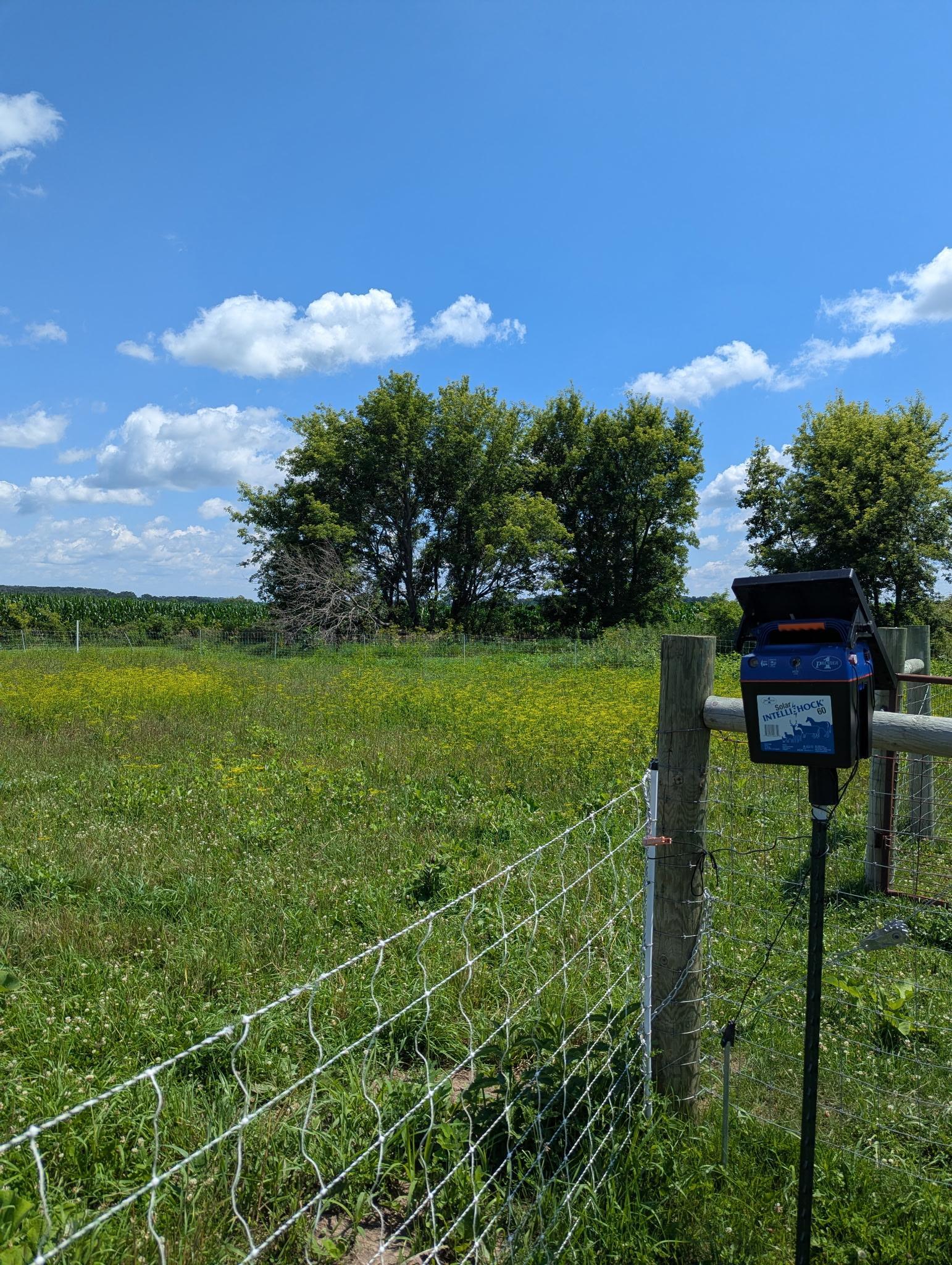 main property photo 42