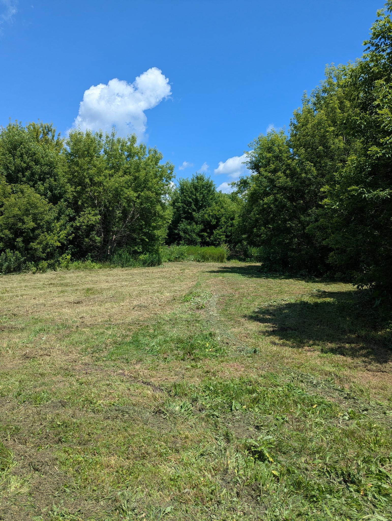 main property photo 50