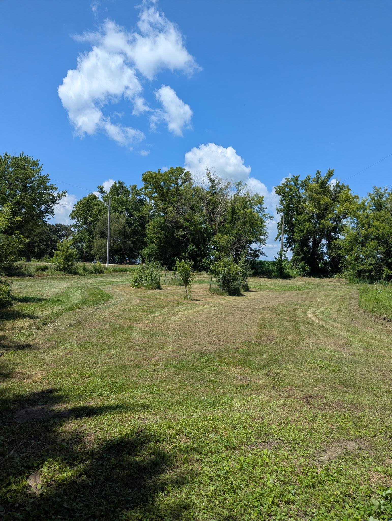 main property photo 52