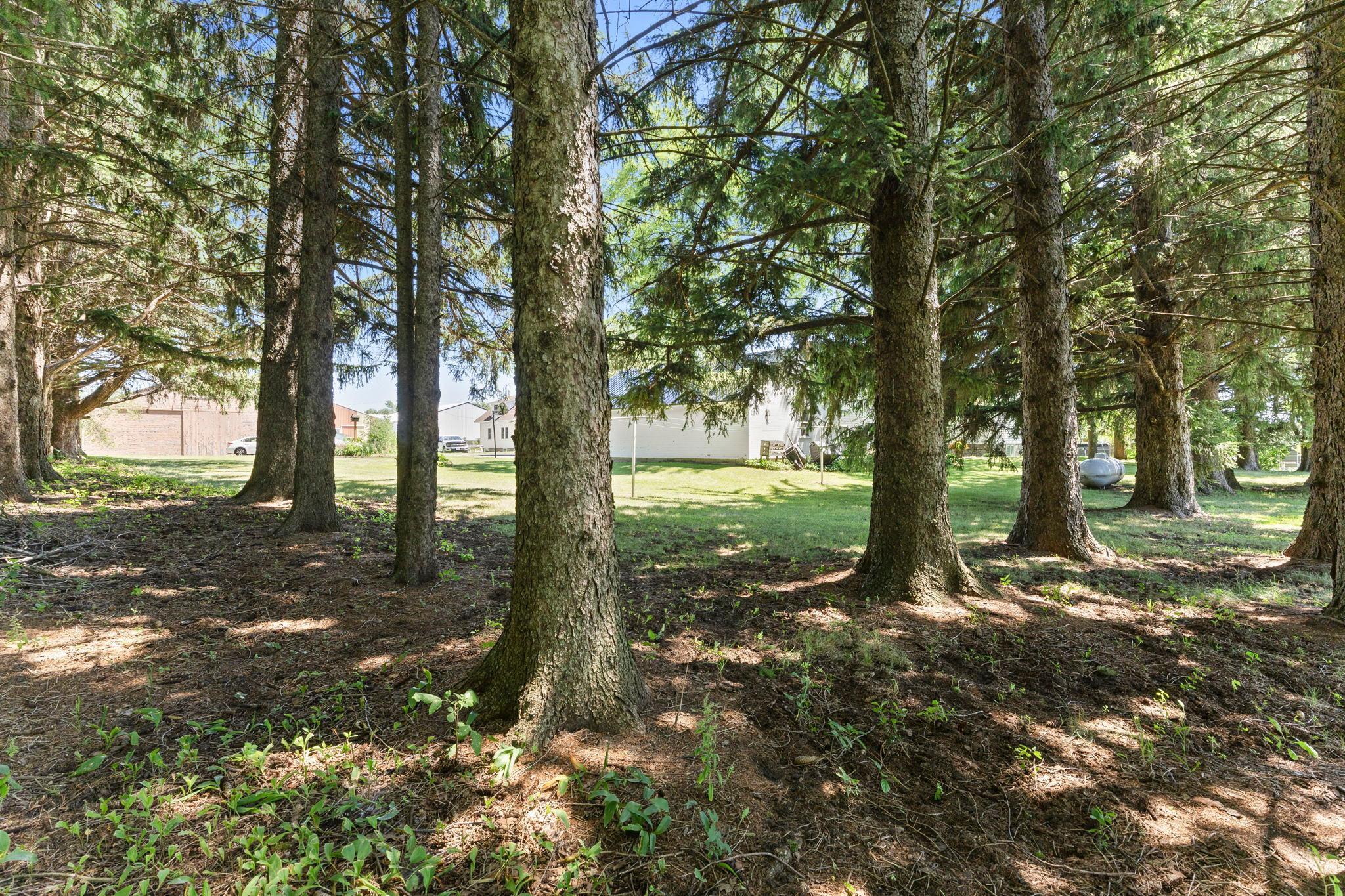 main property photo 38