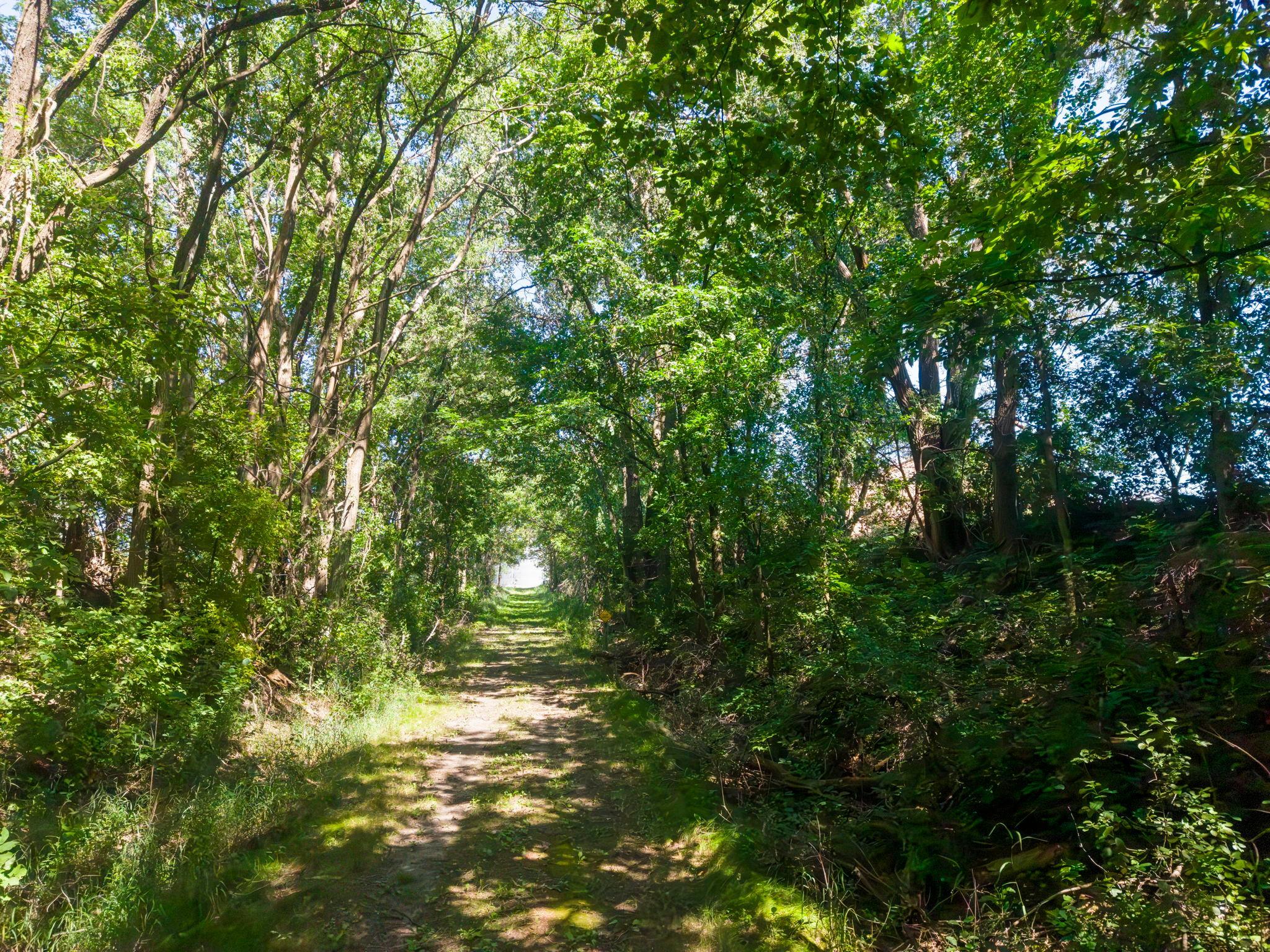 main property photo 46
