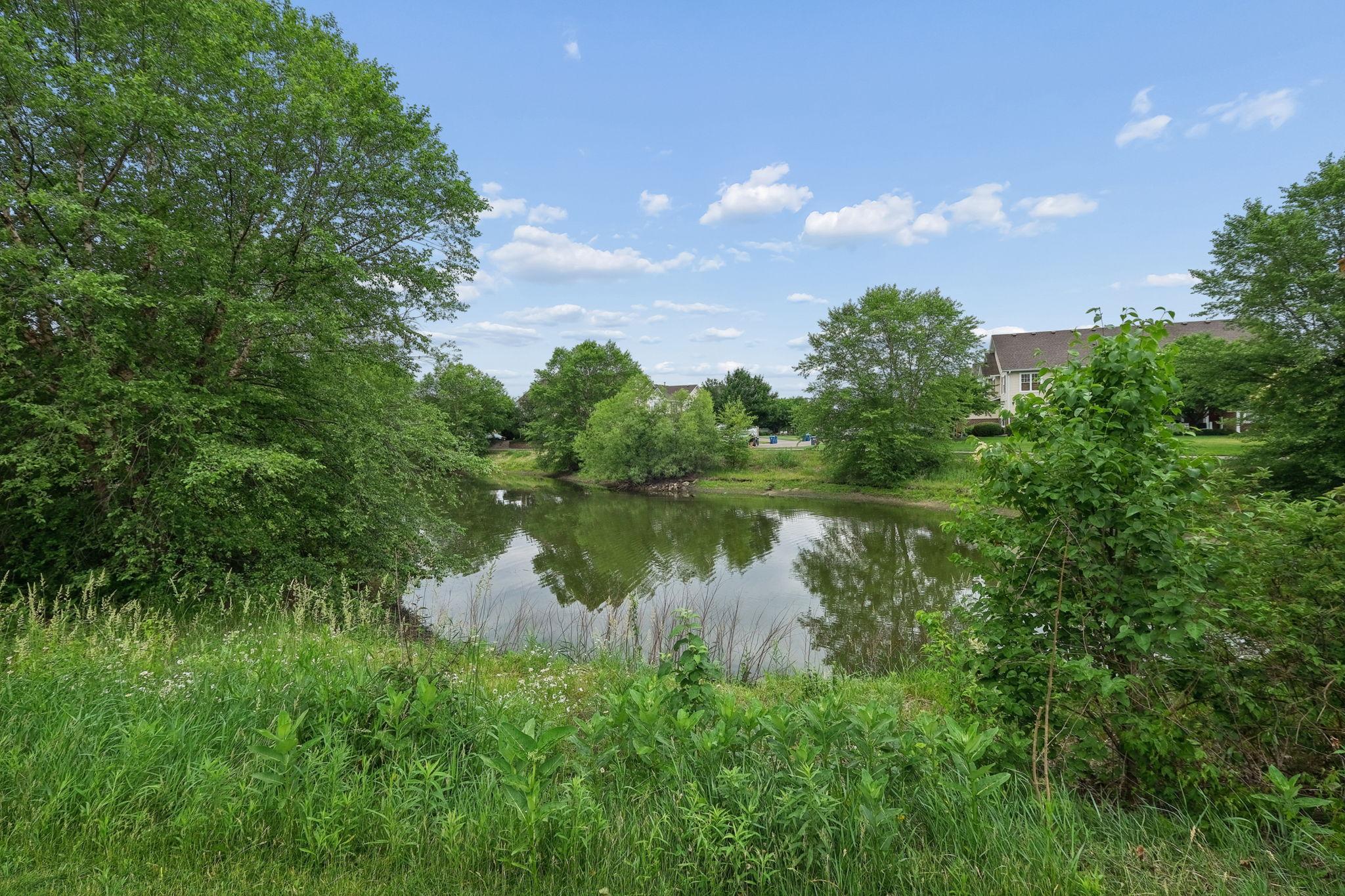 main property photo 25