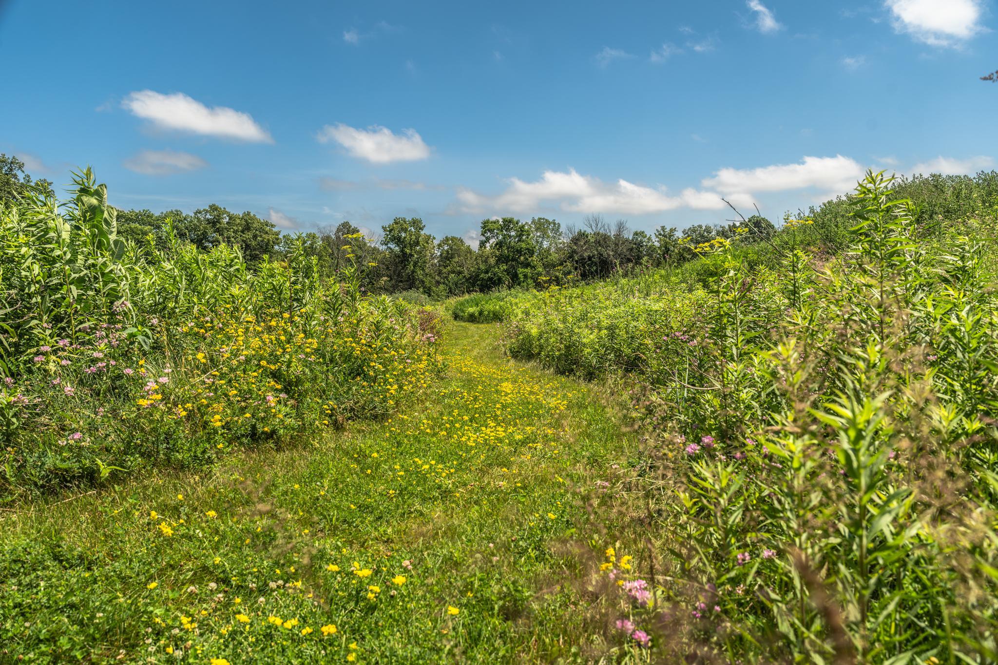 main property photo 48