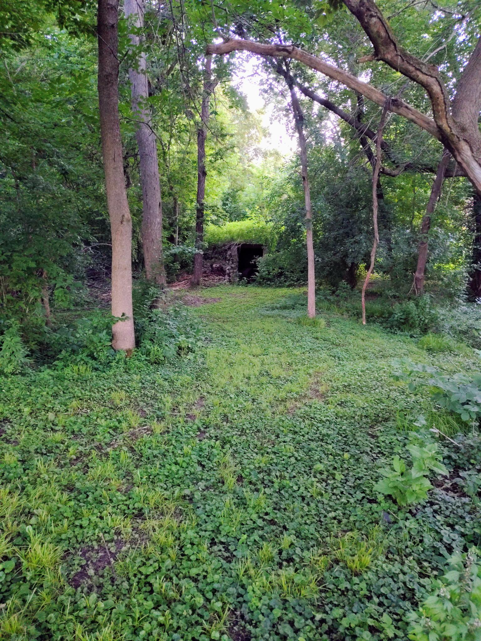main property photo 17
