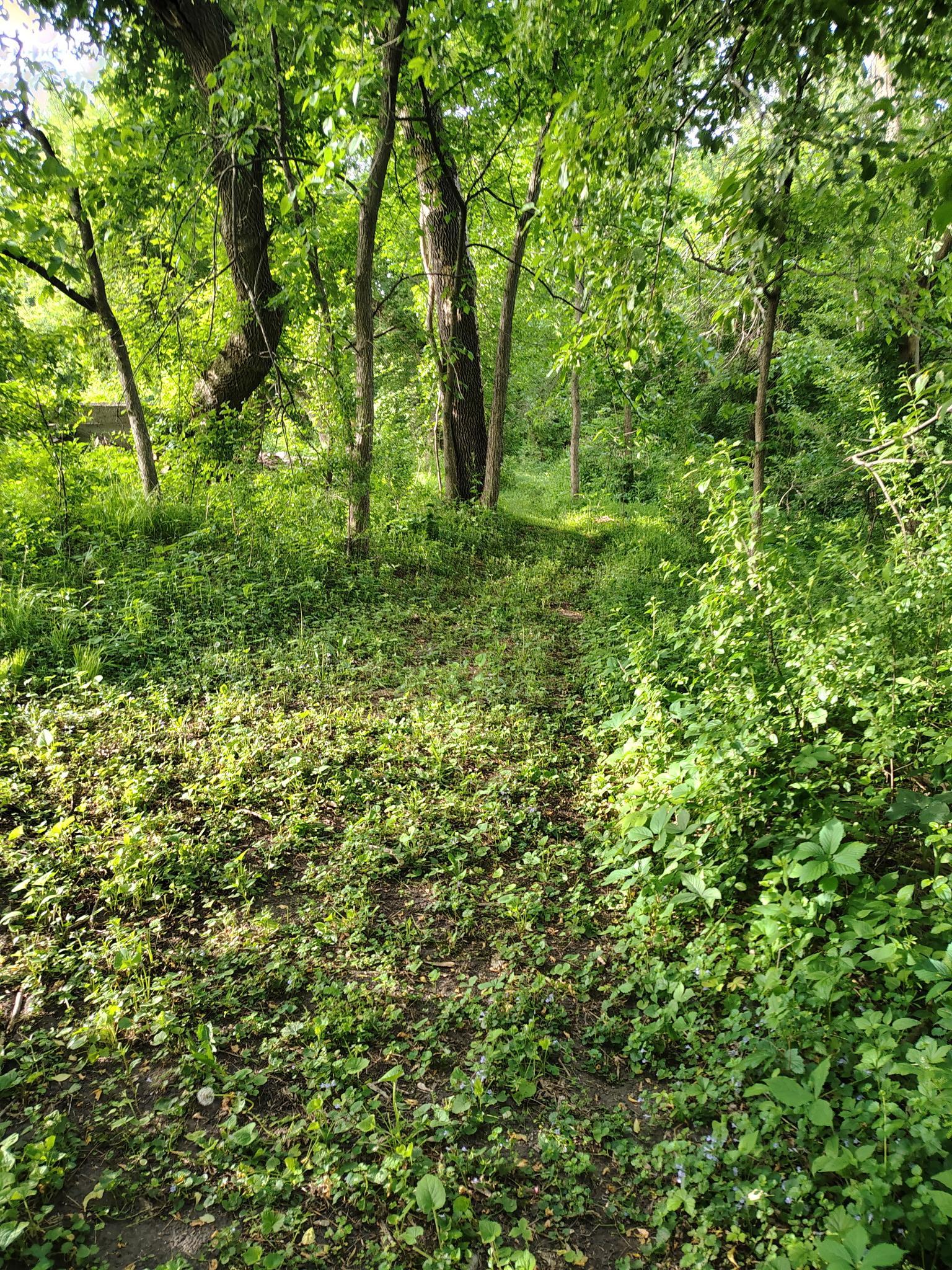 main property photo 21