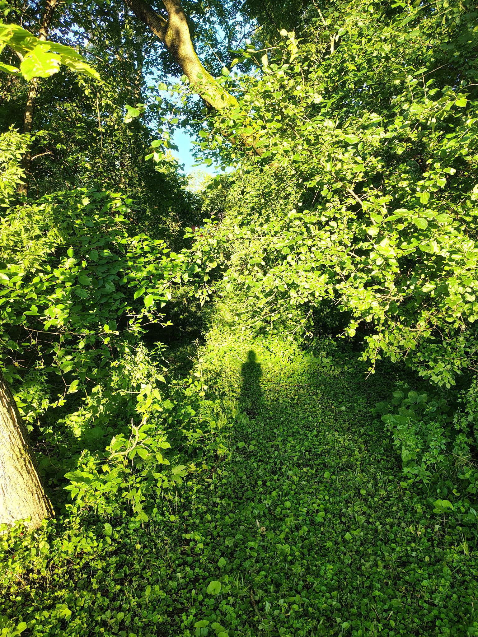 main property photo 26