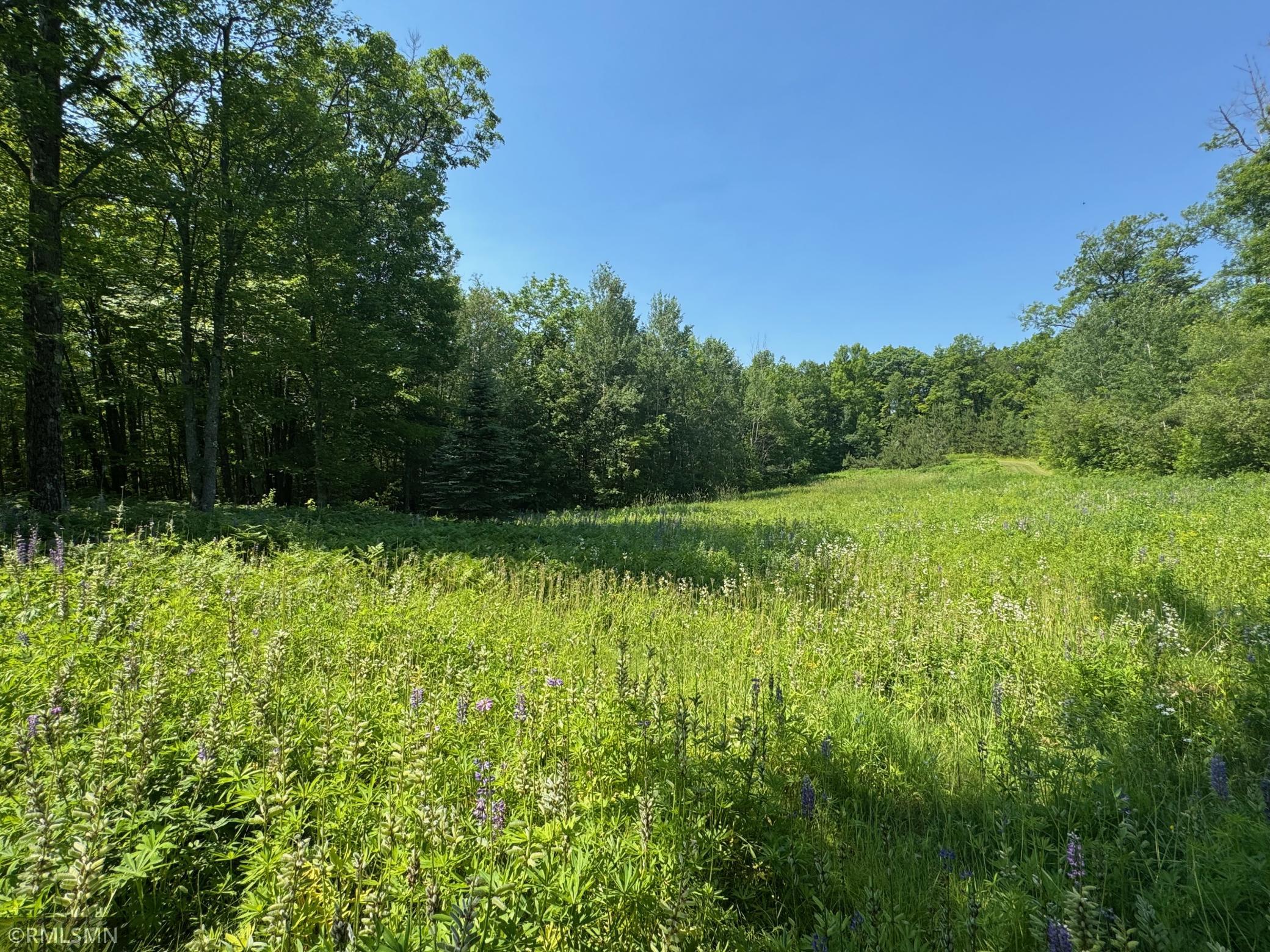 main property photo 62