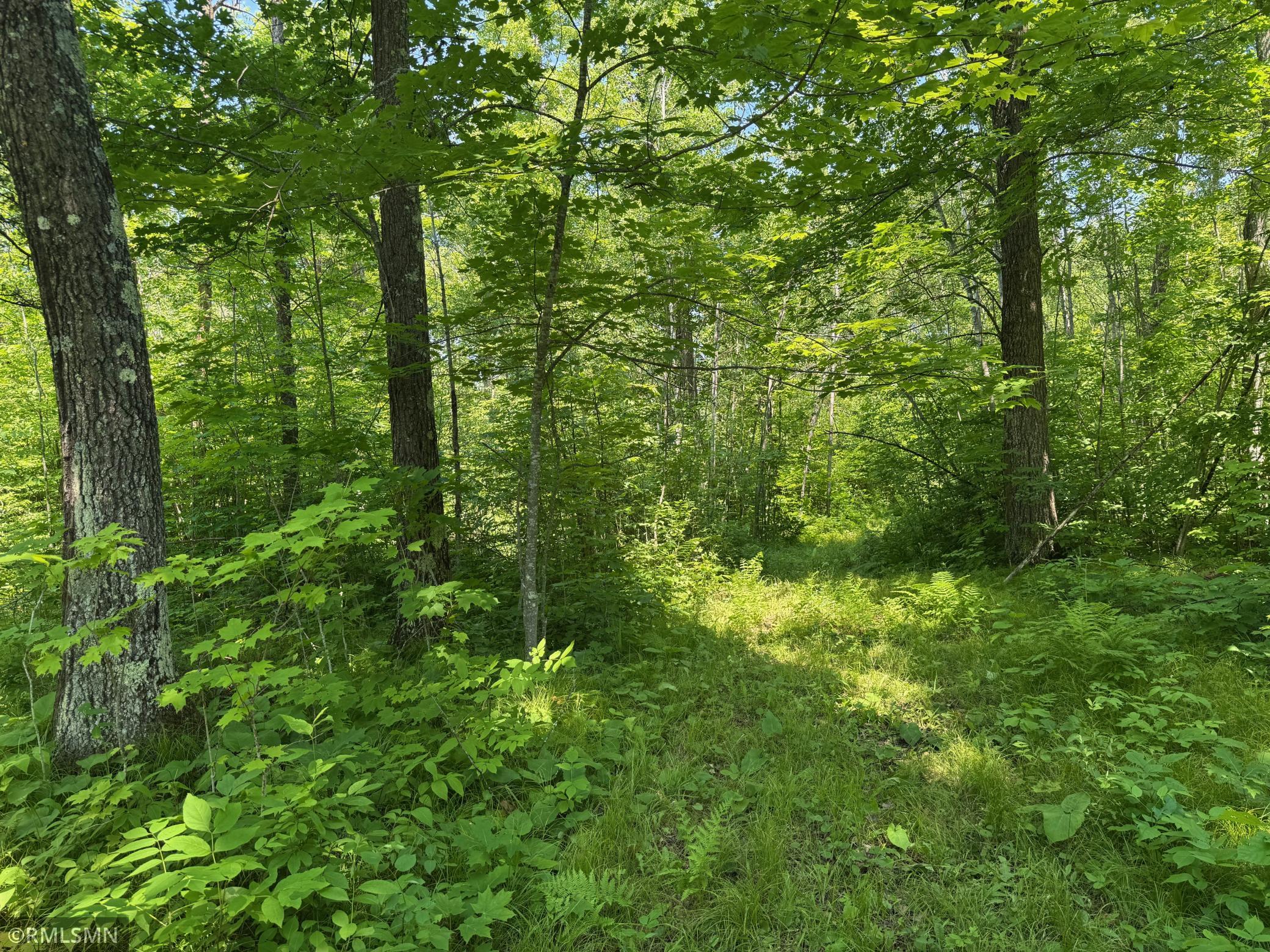 main property photo 65