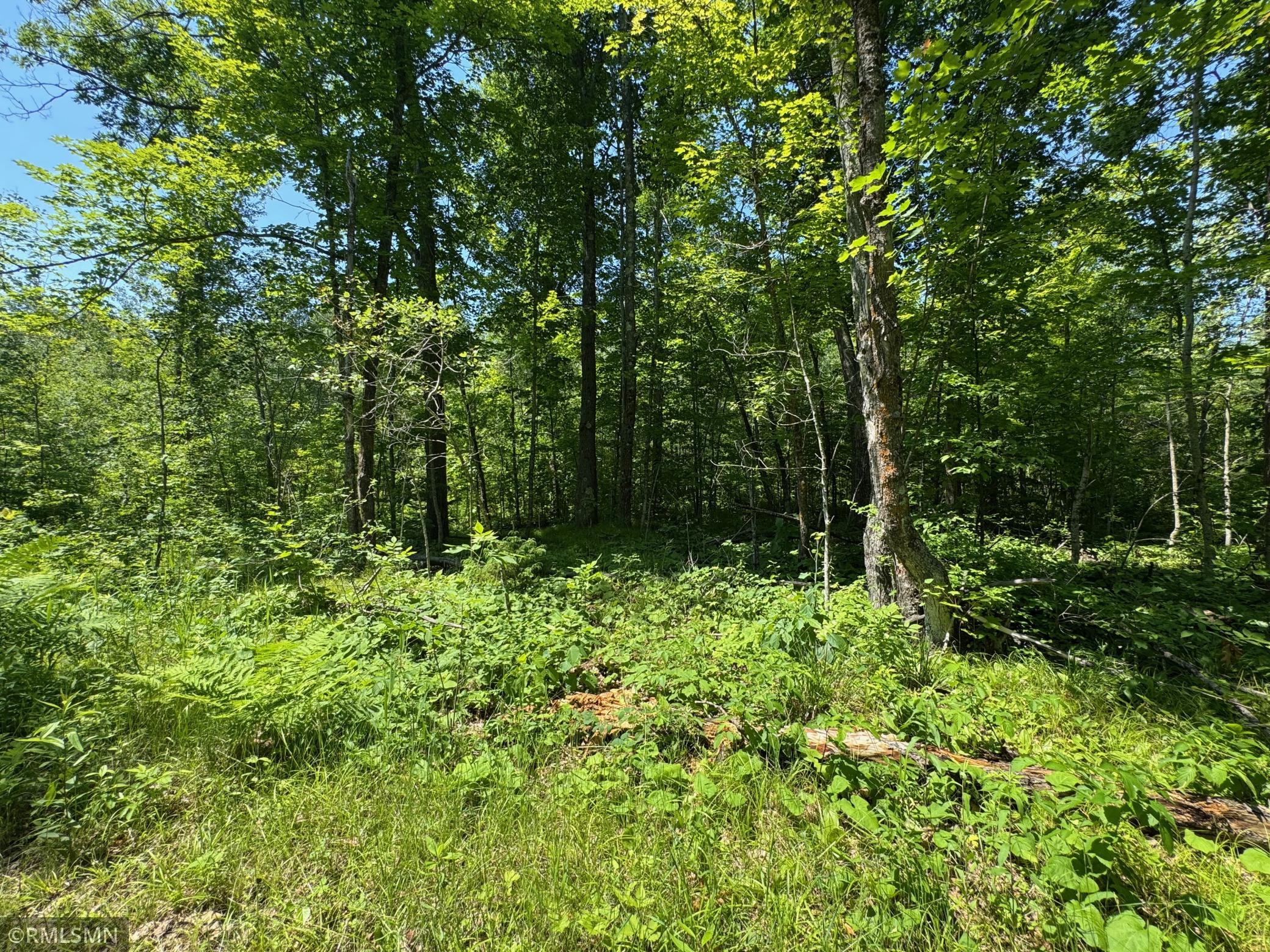 main property photo 71