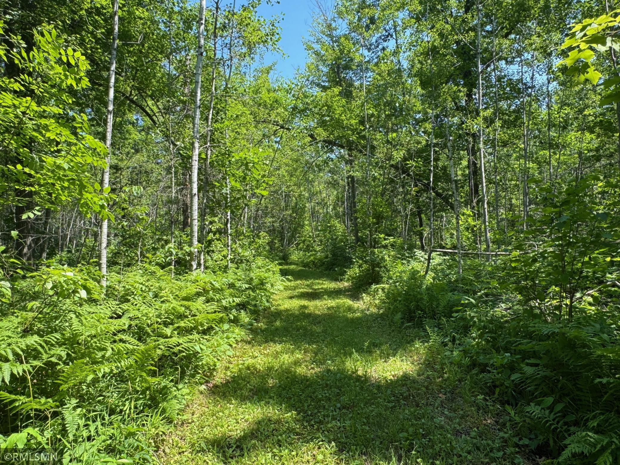 main property photo 73