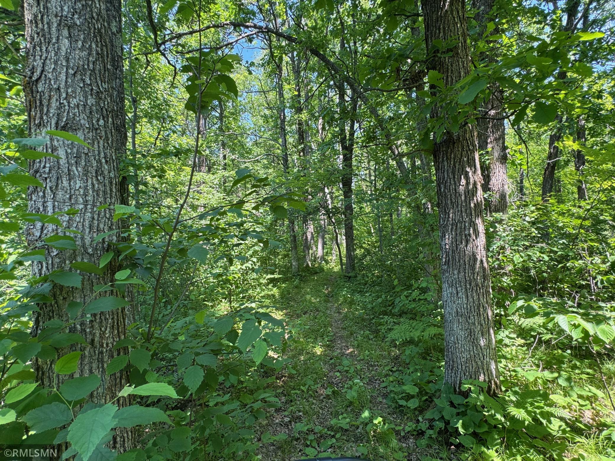 main property photo 84