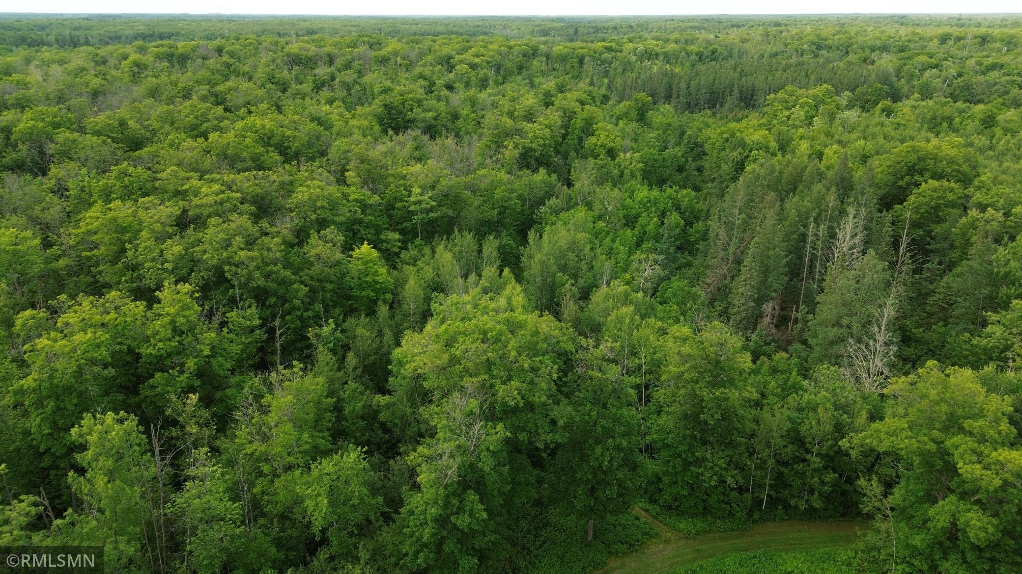 main property photo 93