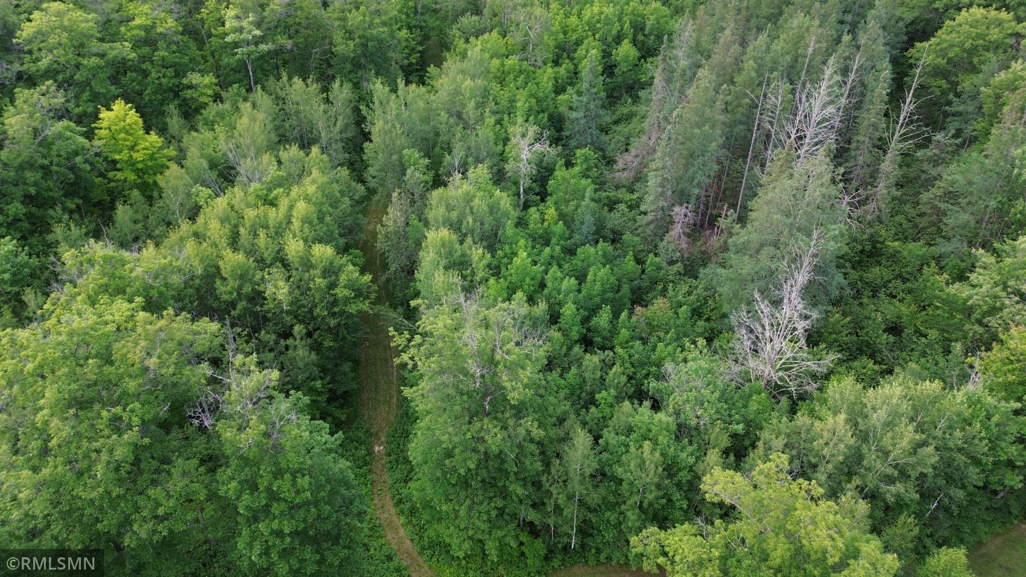 main property photo 97