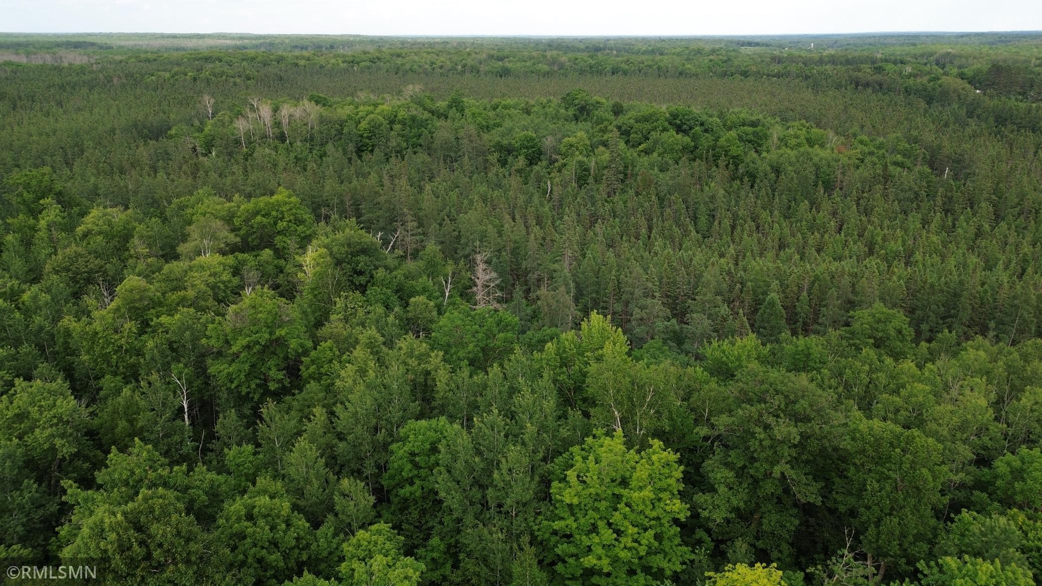 main property photo 99