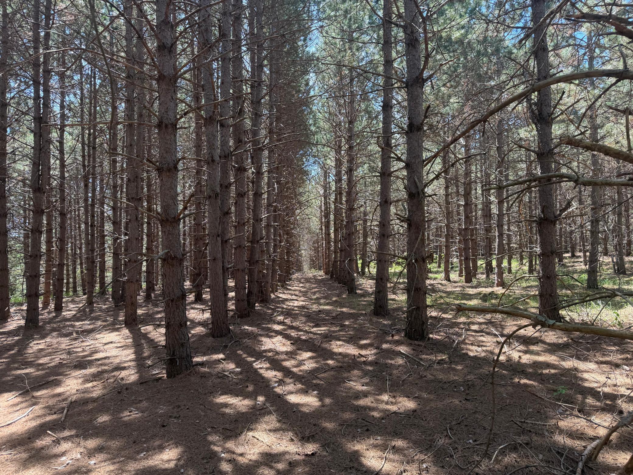 main property photo 11