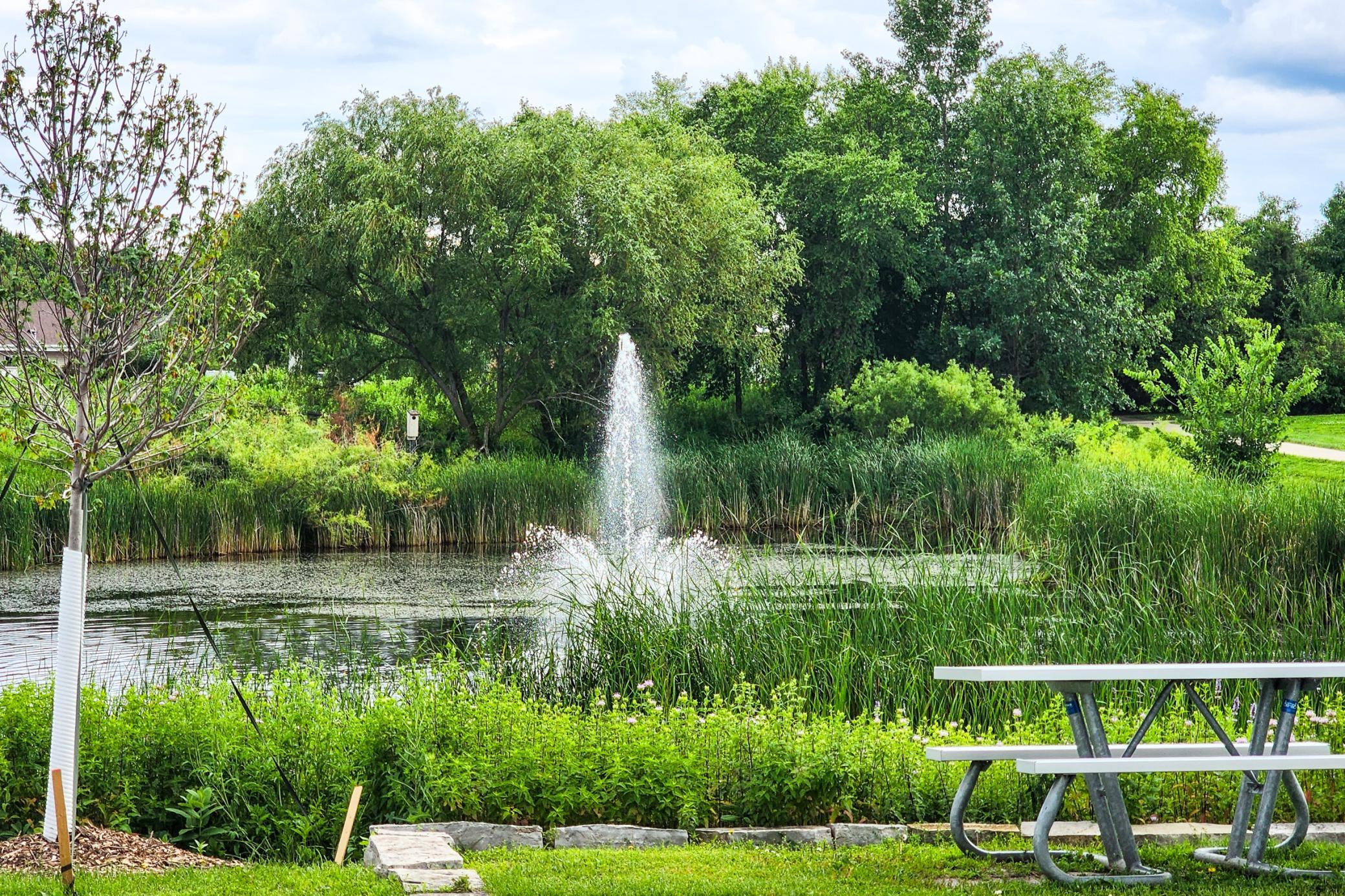 main property photo 50