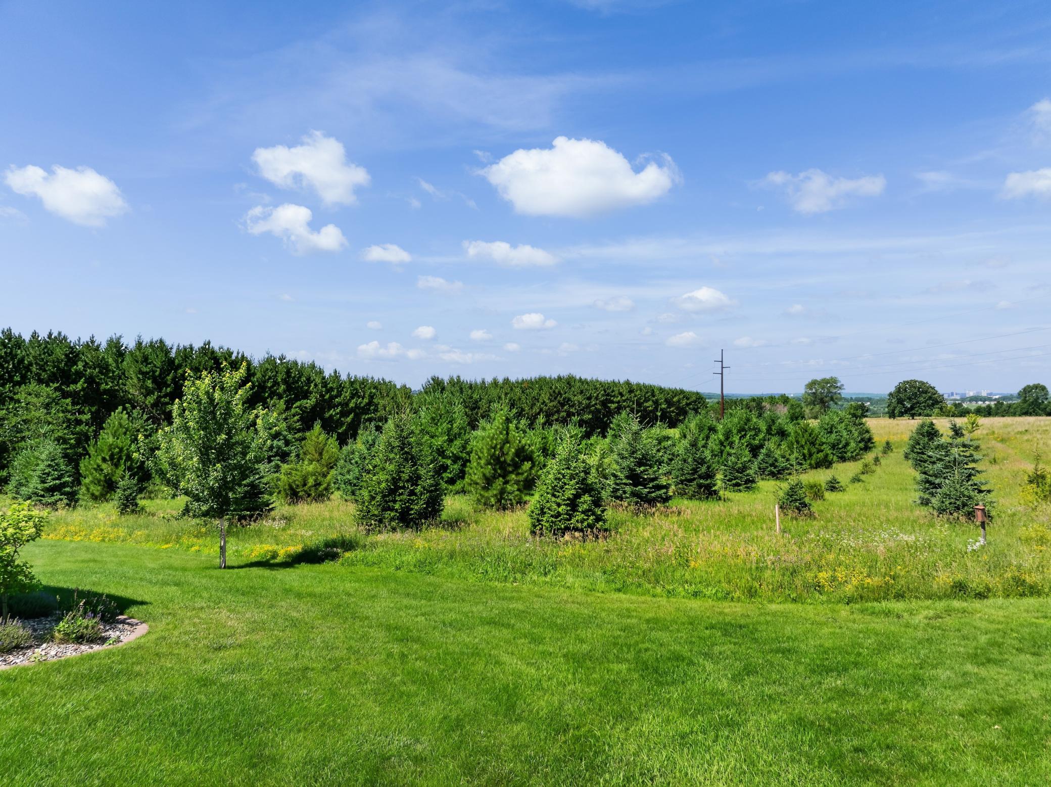 main property photo 68
