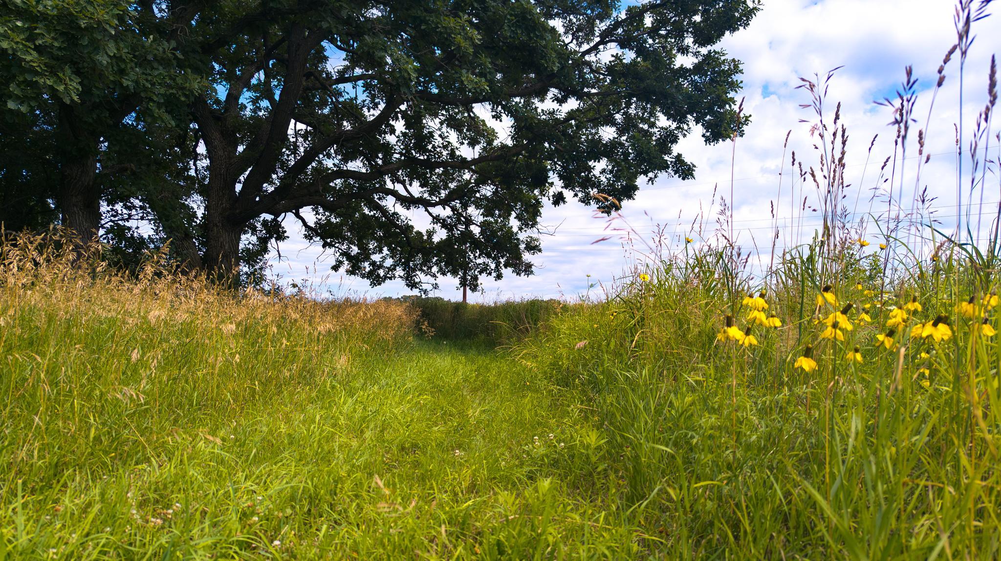 main property photo 73