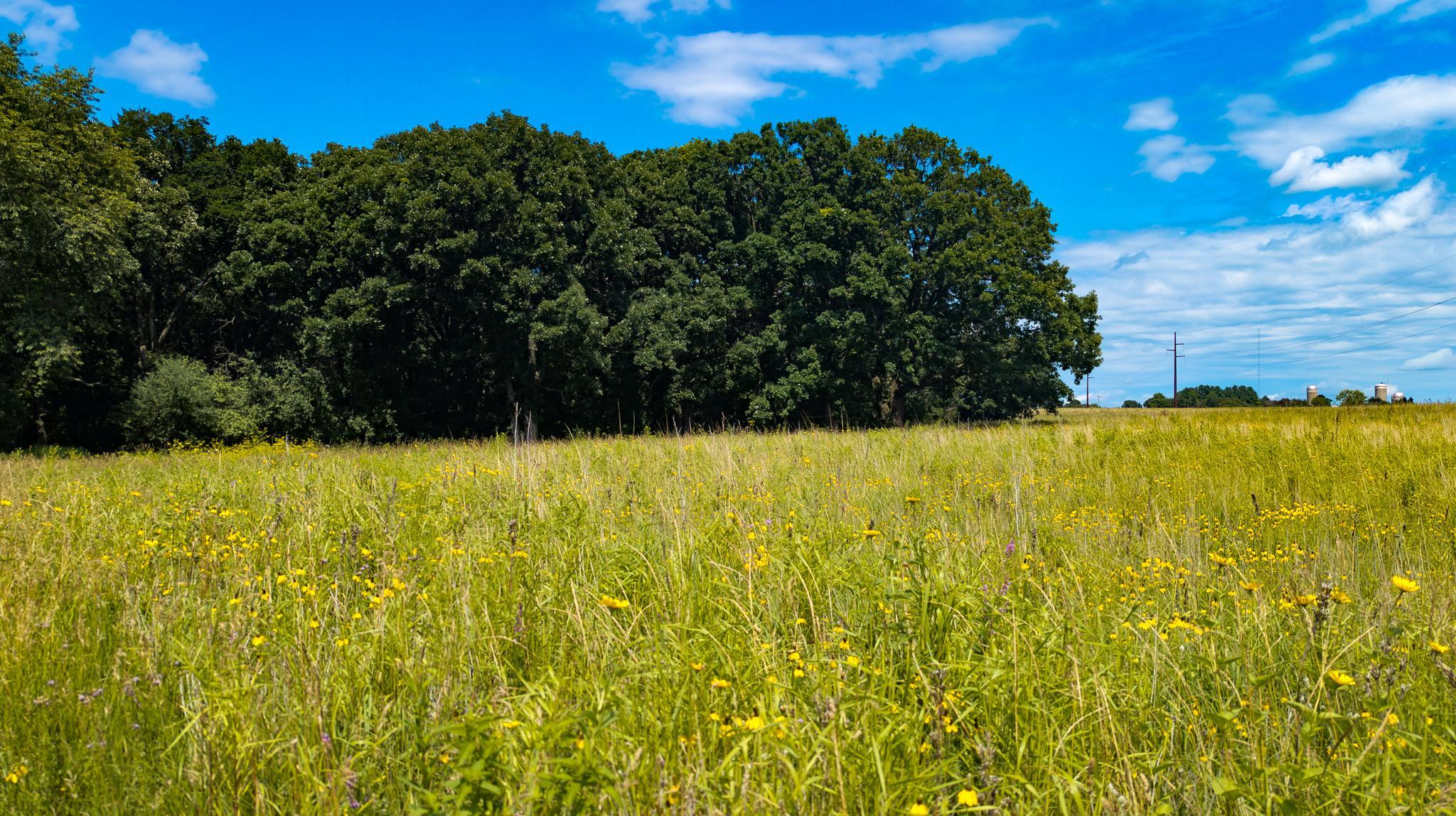 main property photo 76