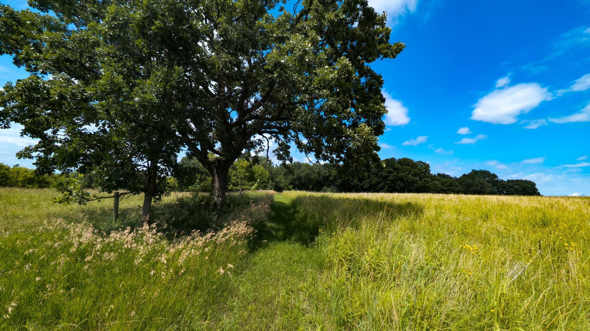 main property photo 80