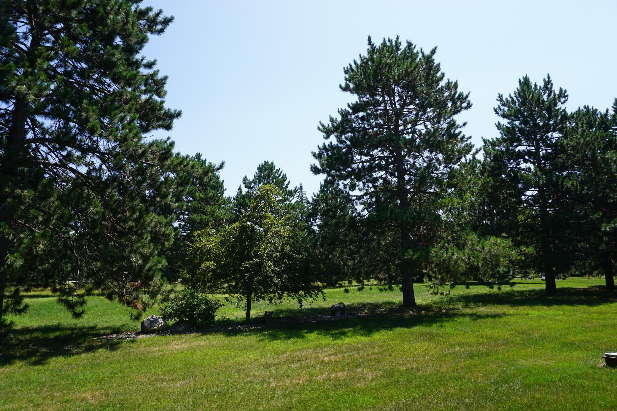 main property photo 26