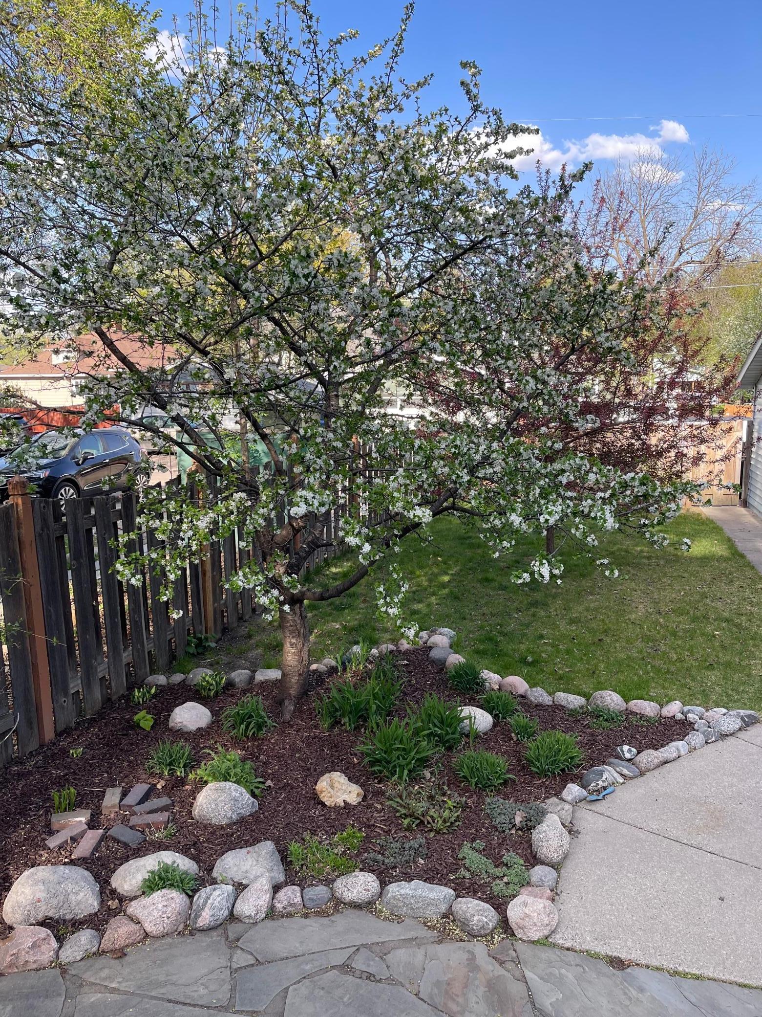 main property photo 50