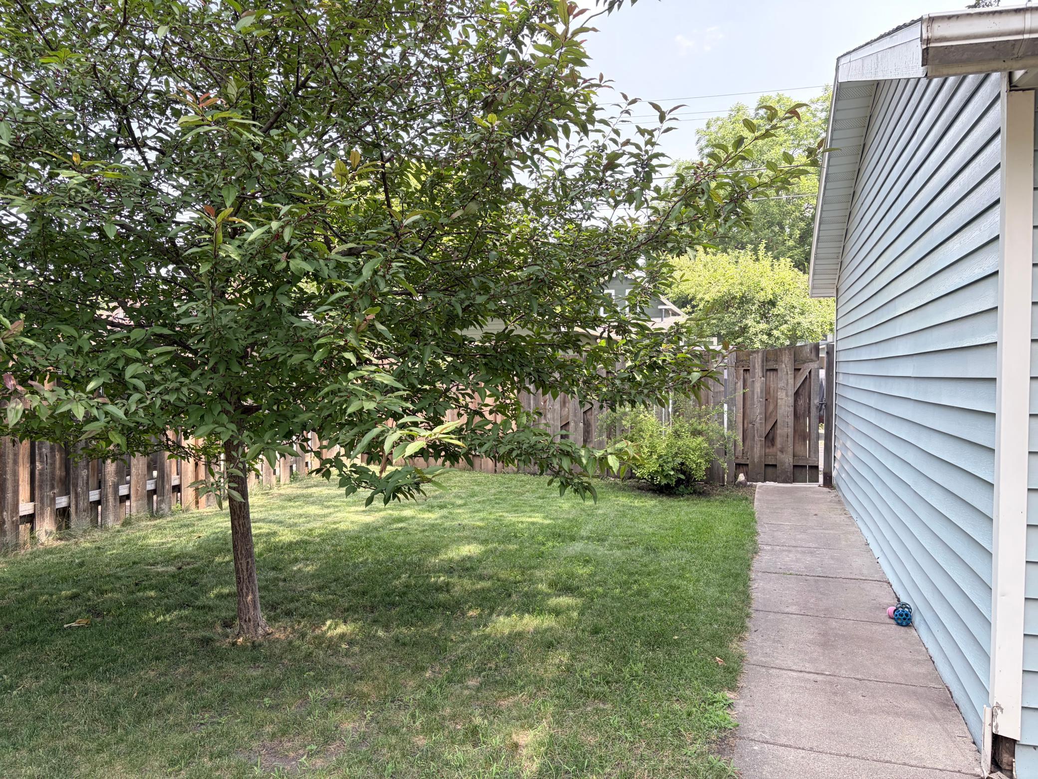 main property photo 54
