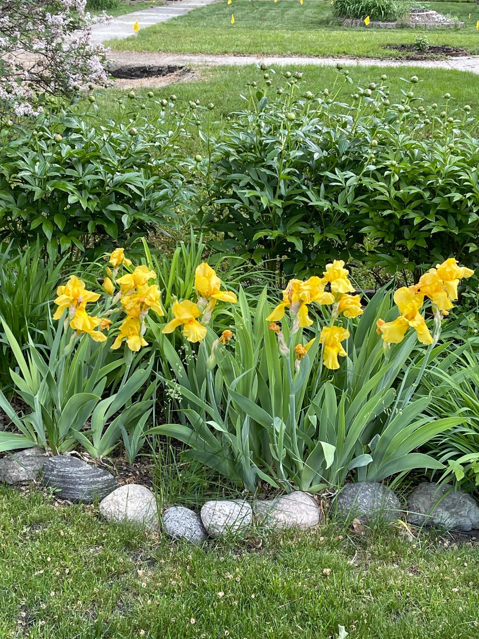main property photo 62