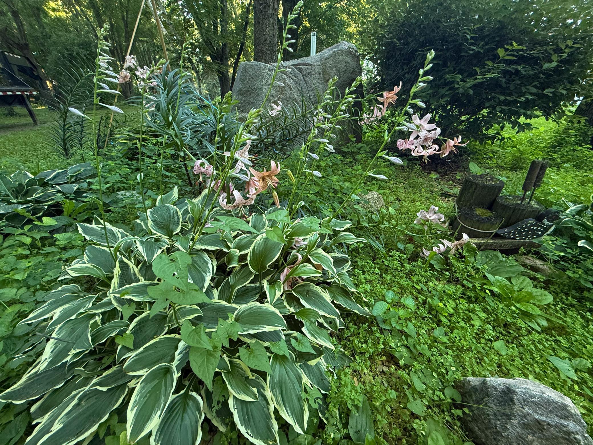 main property photo 50