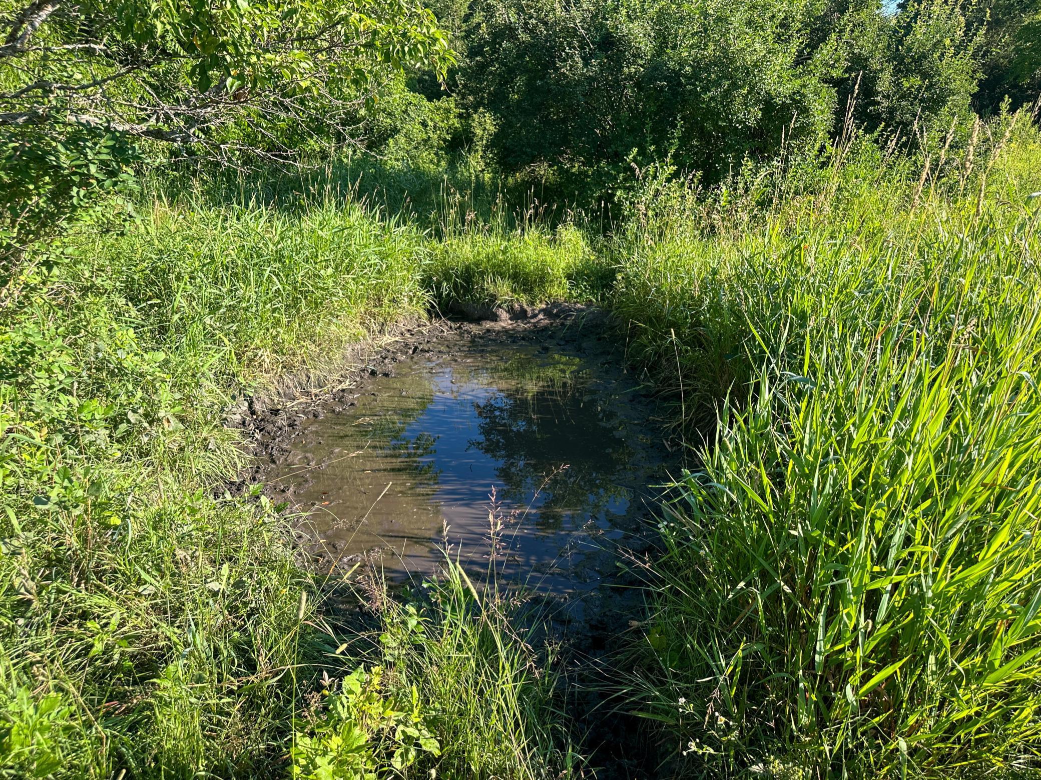 main property photo 82
