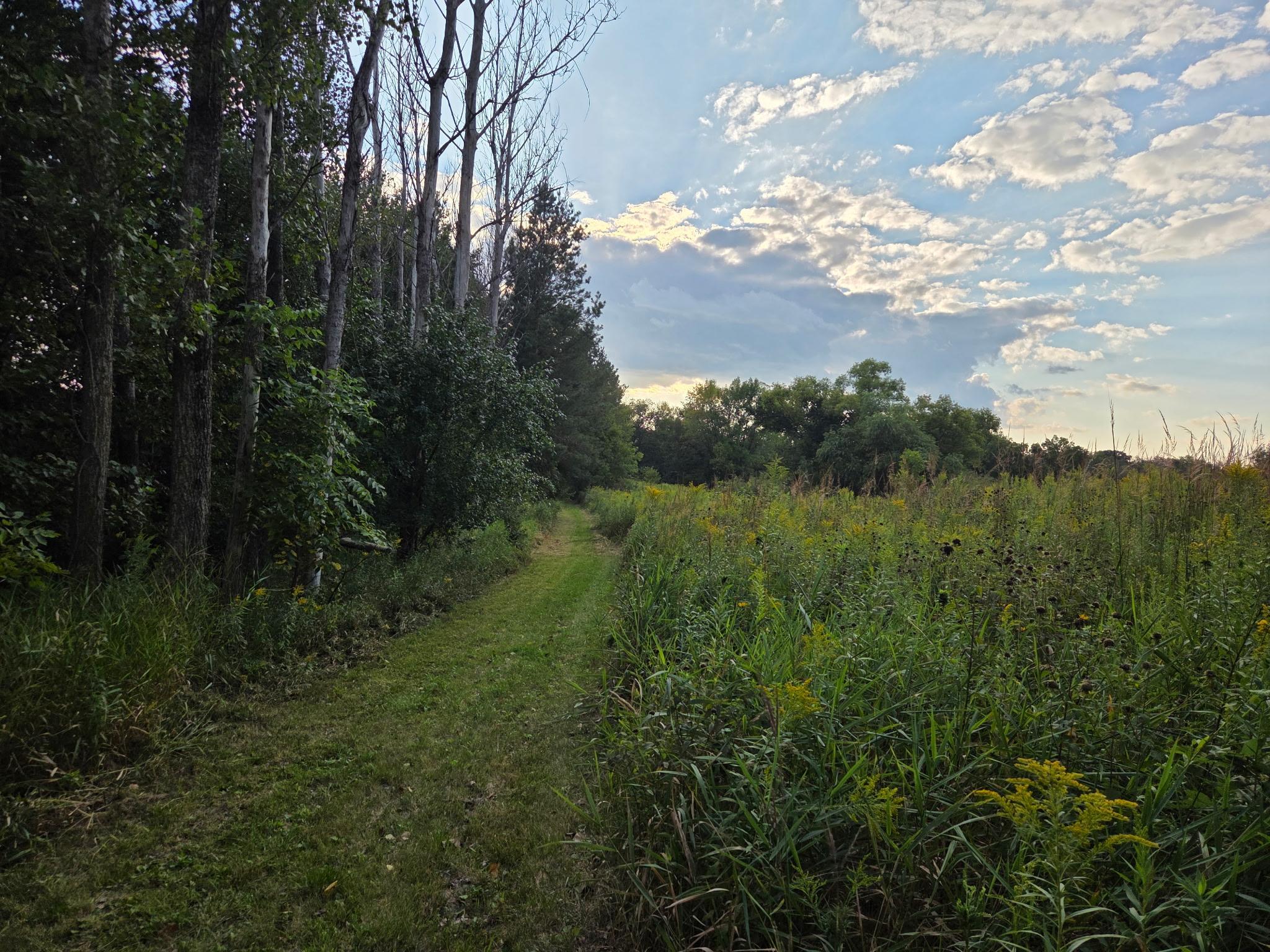 main property photo 80