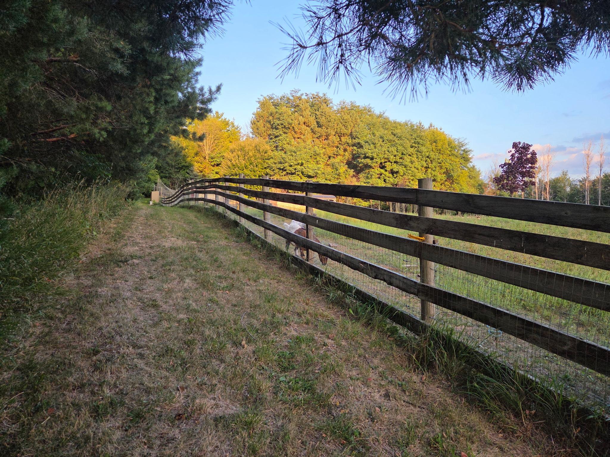 main property photo 81