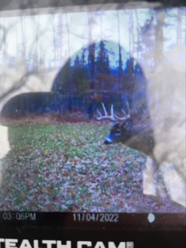 main property photo 11