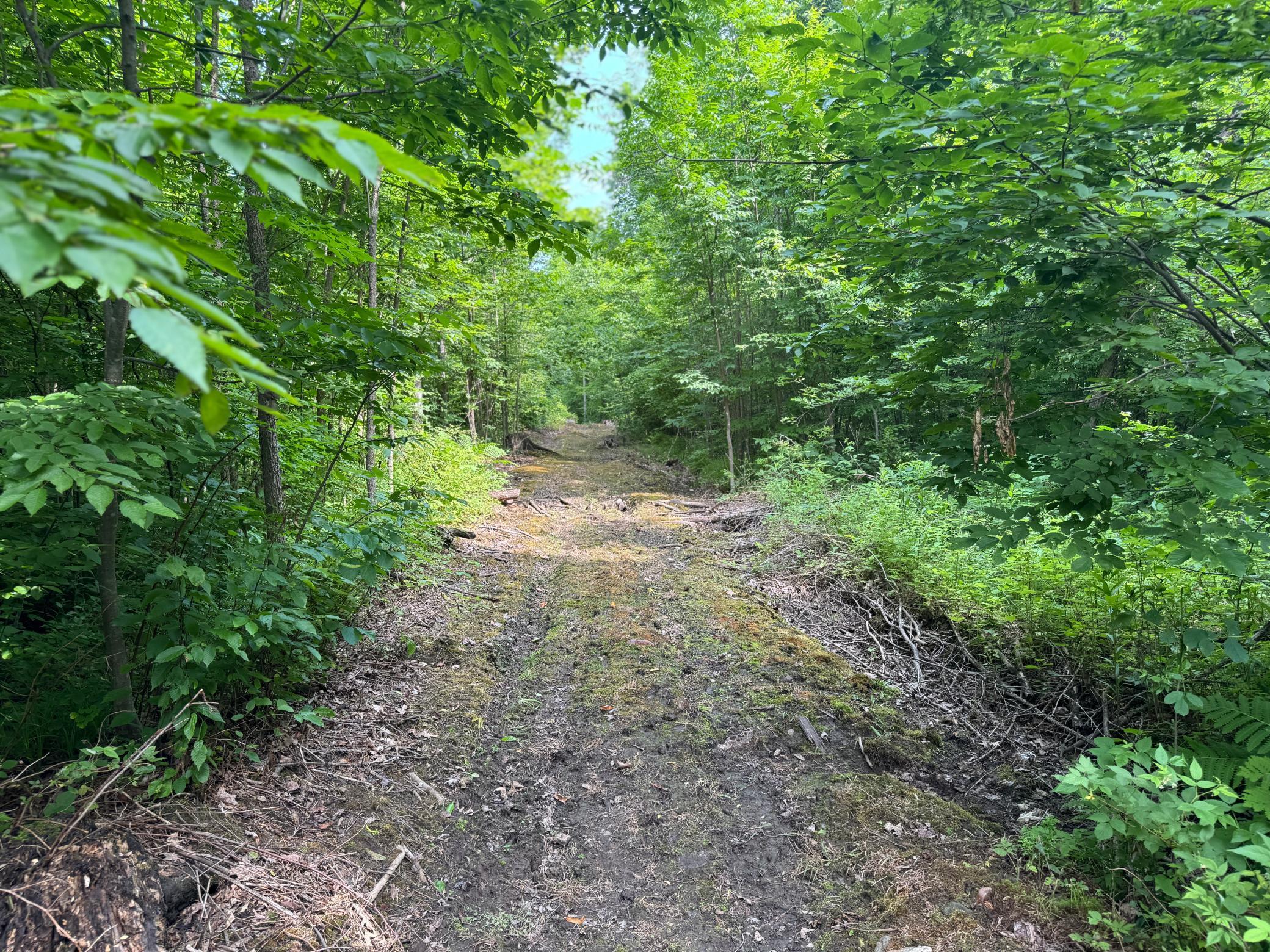main property photo 39