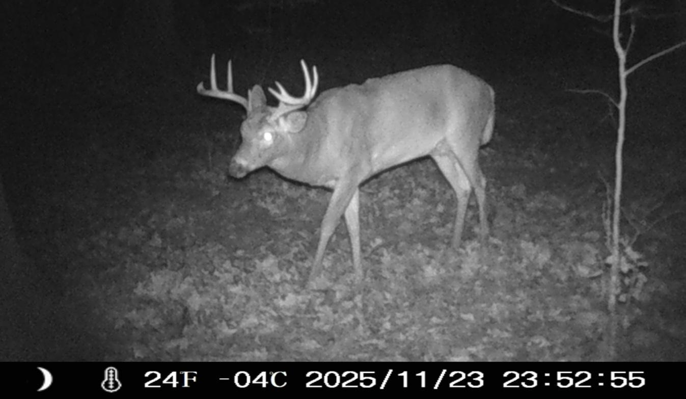 main property photo 53