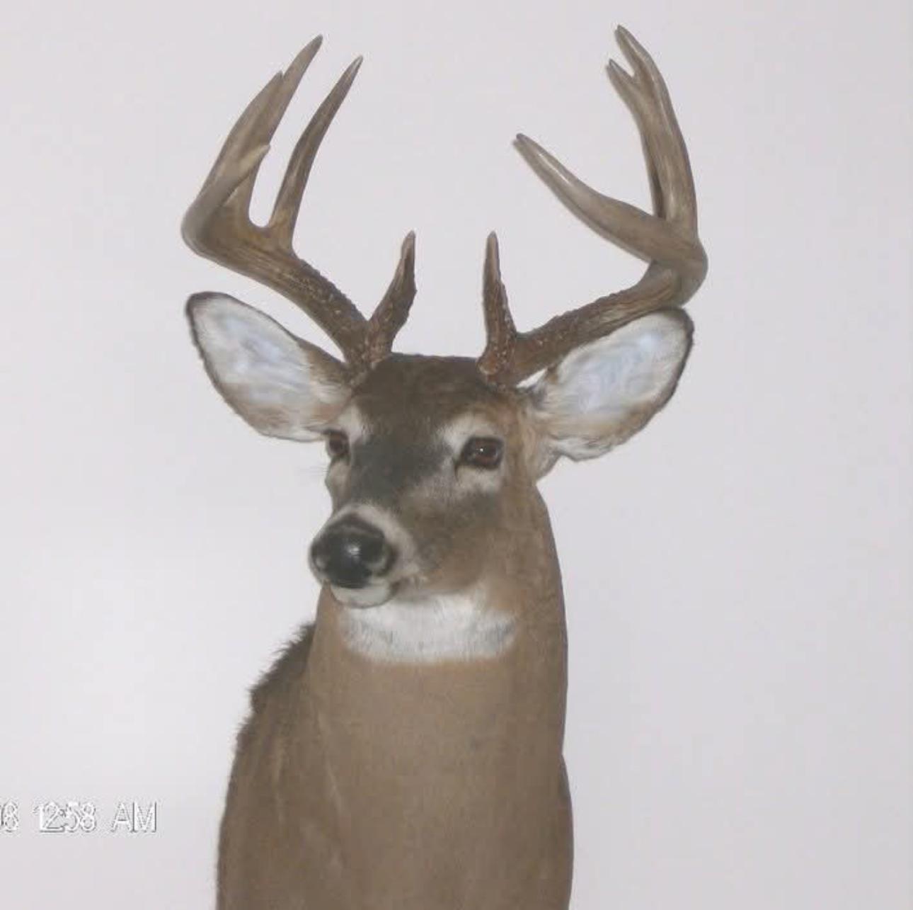 main property photo 58