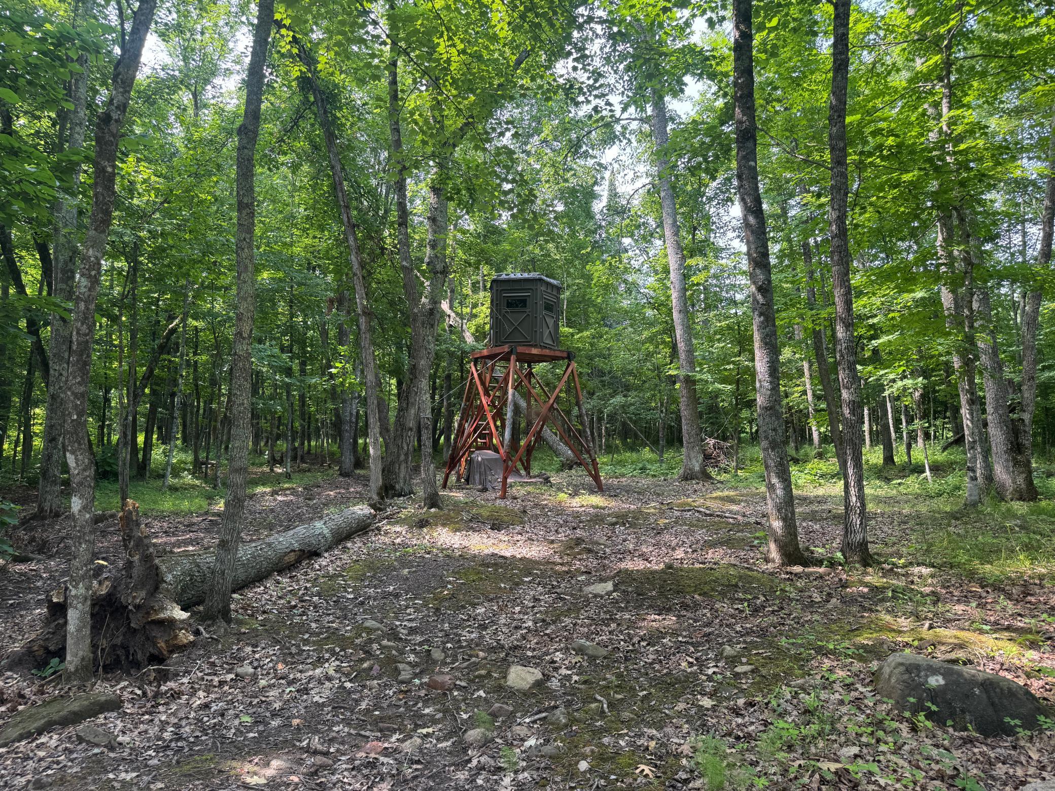 main property photo 6