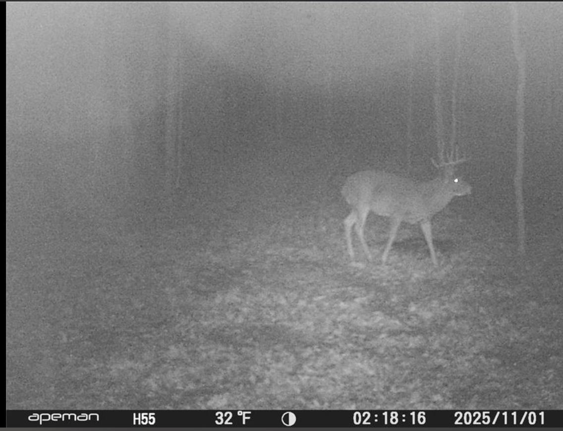 main property photo 64