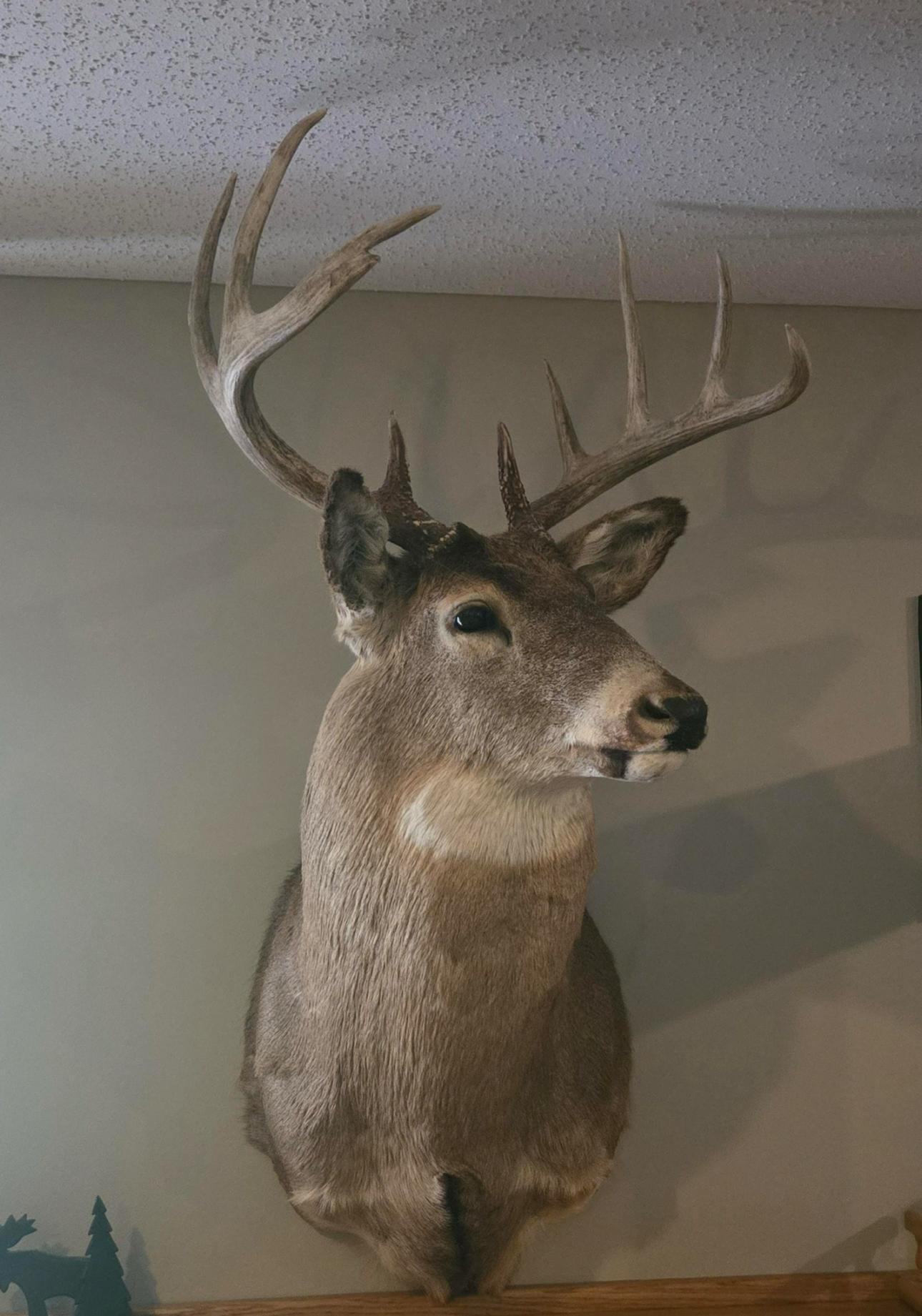 main property photo 66