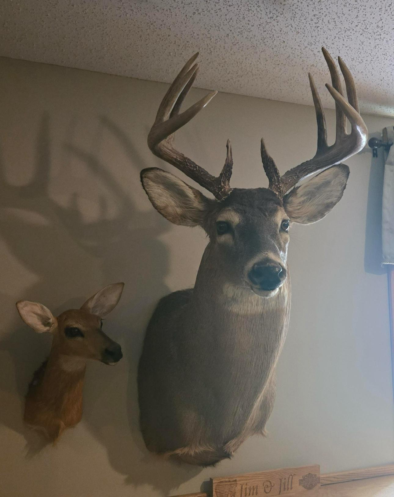 main property photo 67