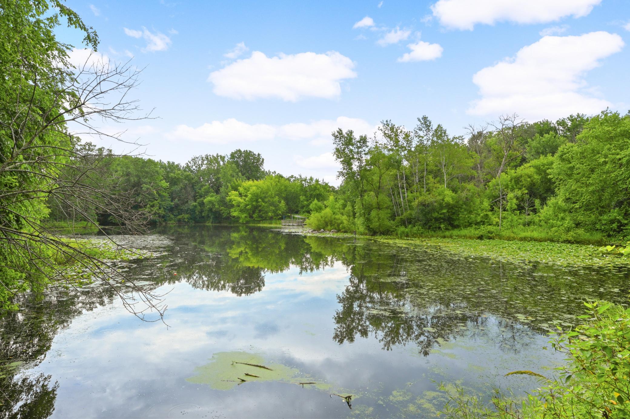 main property photo 51