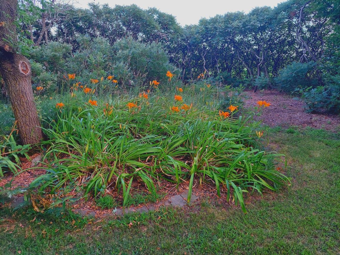 main property photo 51