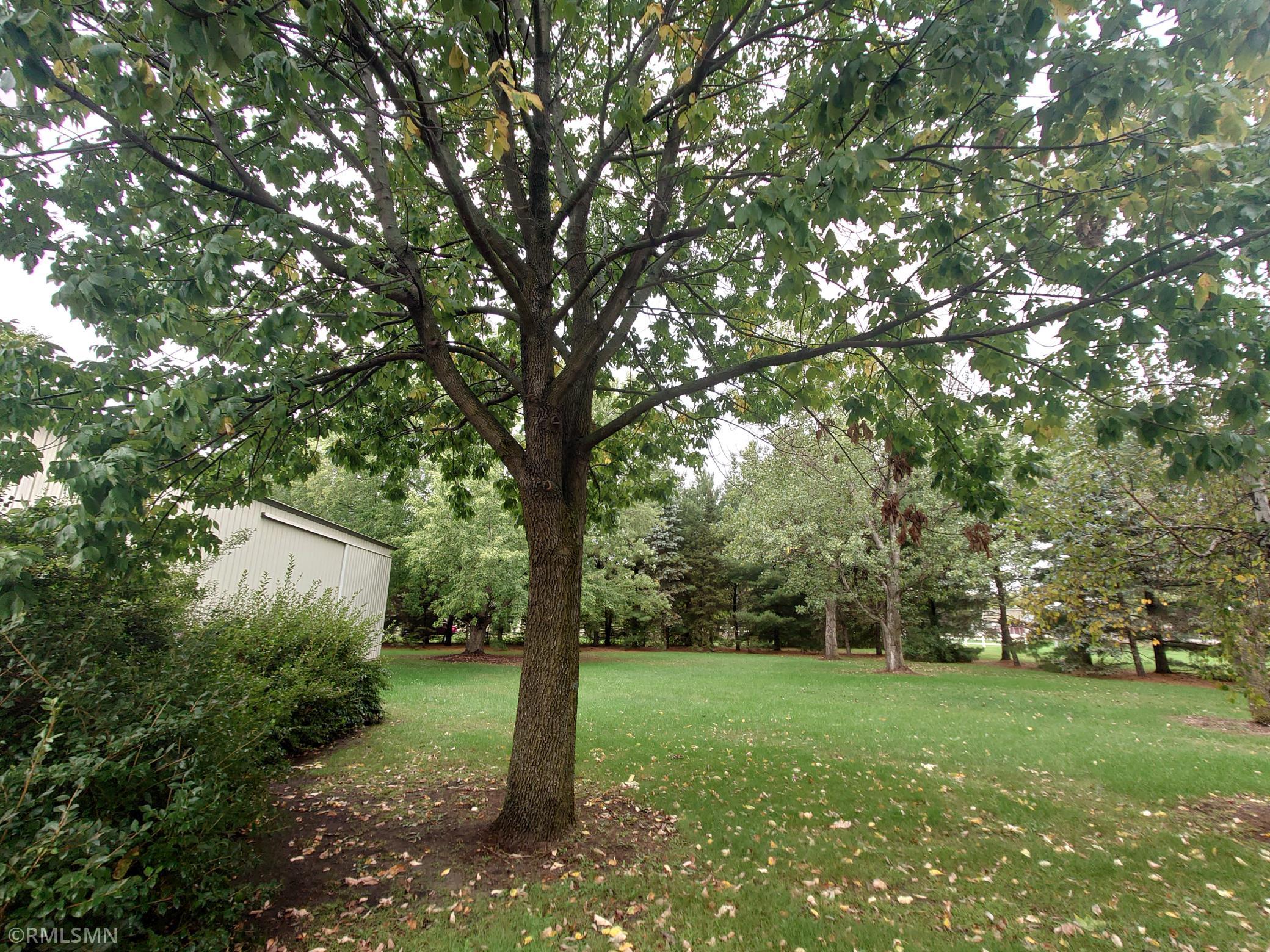 main property photo 57