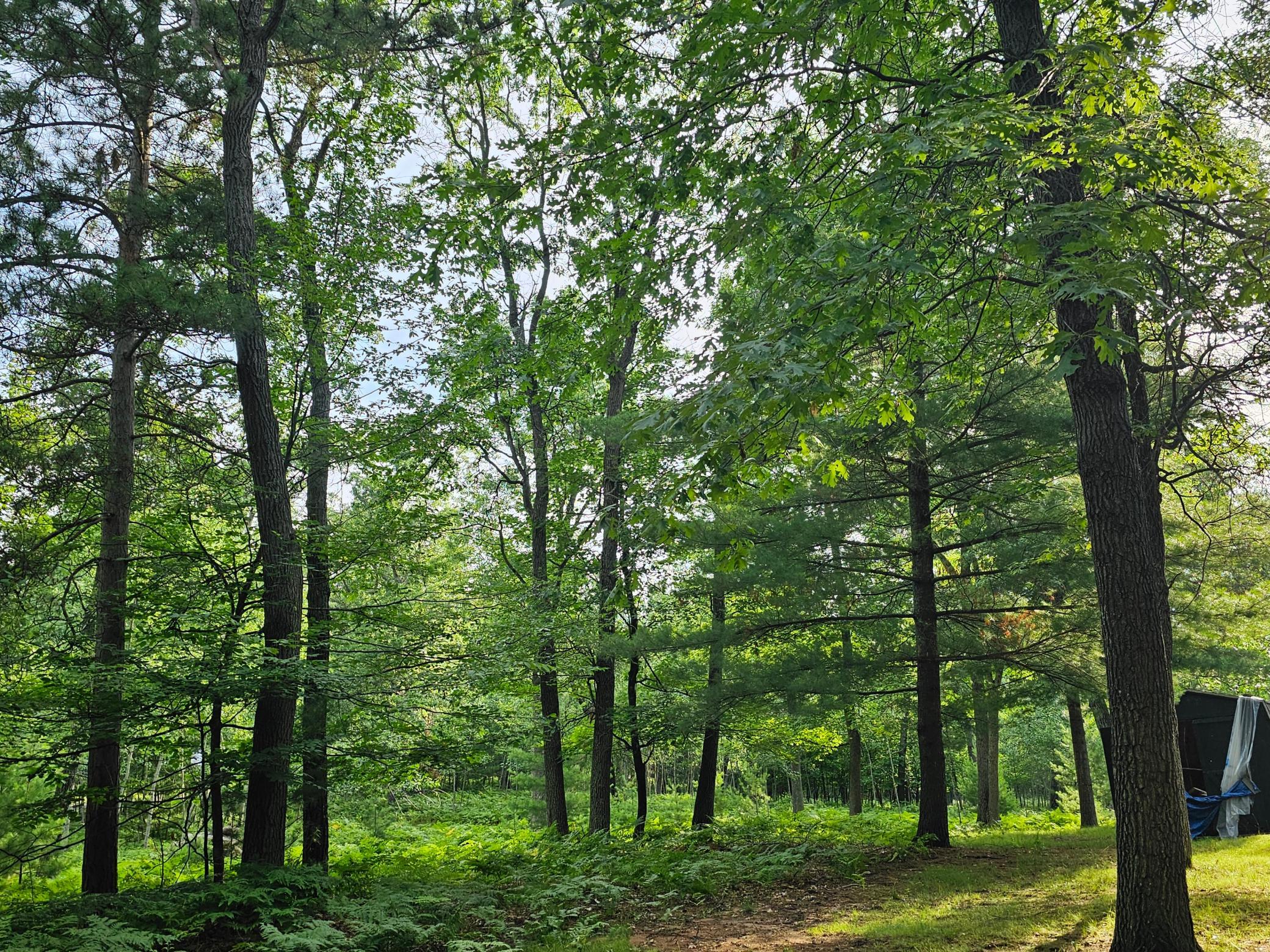 main property photo 49