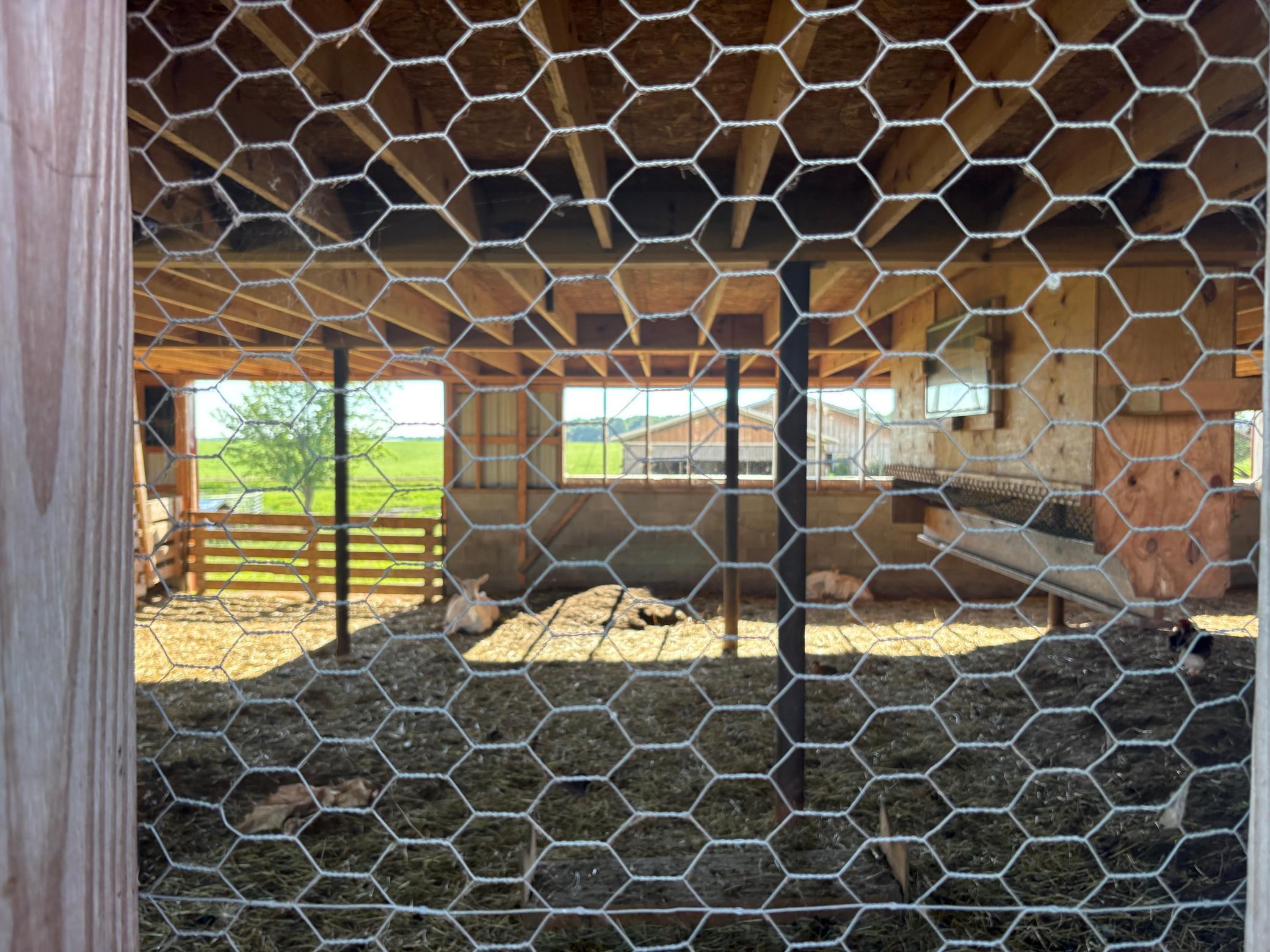 main property photo 15