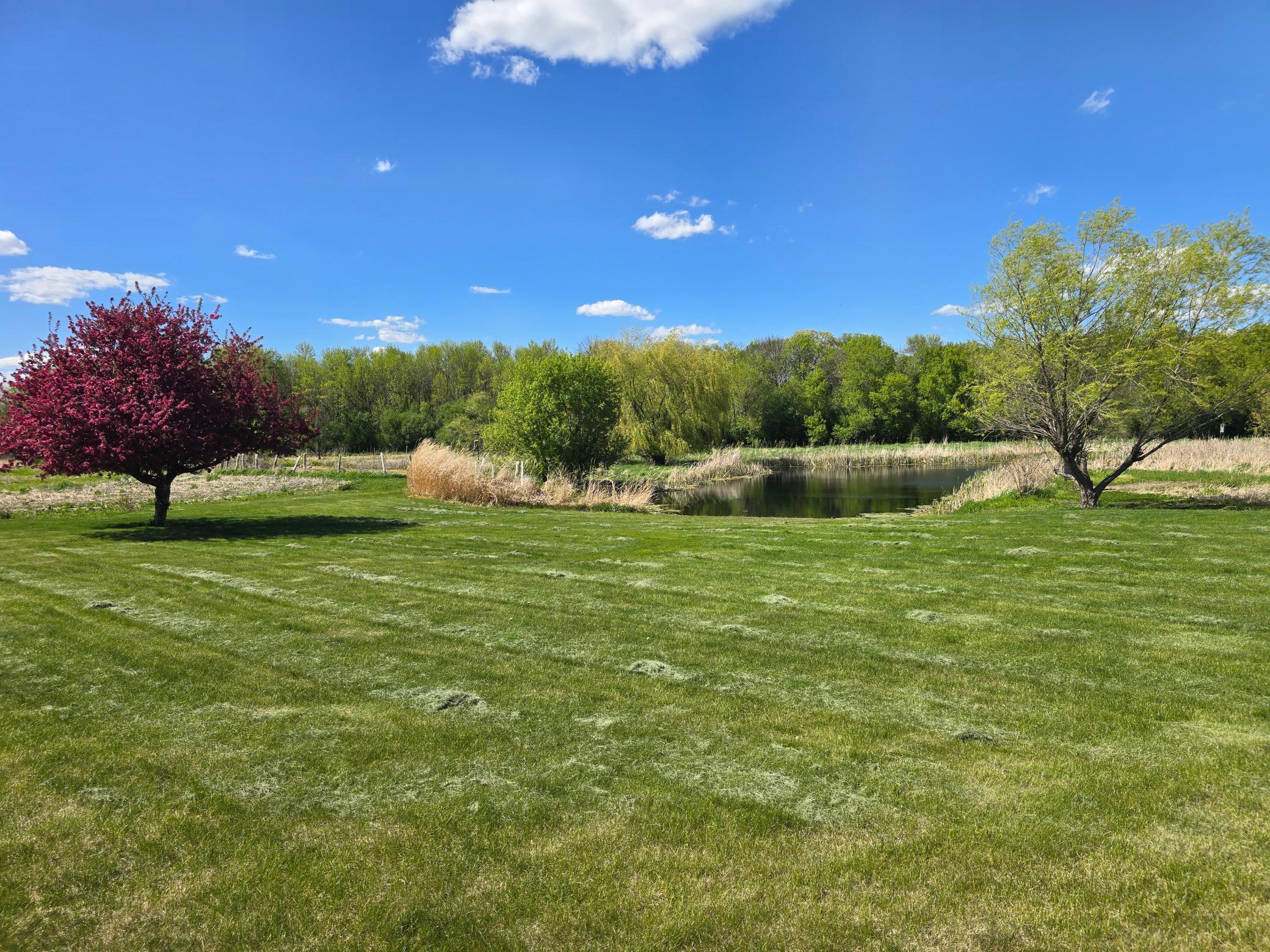 main property photo 52